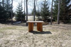 2 pine and maple bench small