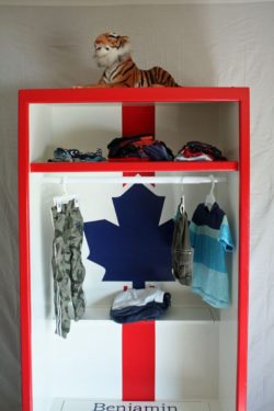 5 Toronto Maple Leafs themed dressing station