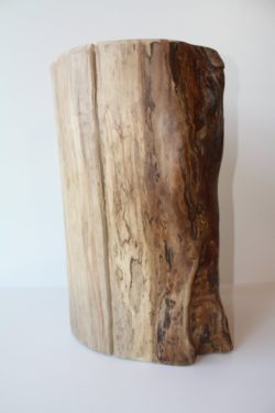 5 maple stump stool end table or plant stand