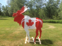 Canada Flag Moose 2 - 2