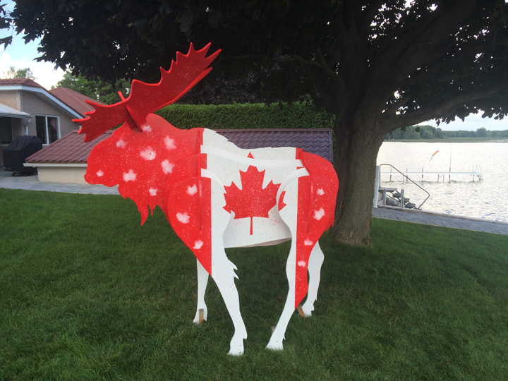 Canada Flag Moose 4 - 1
