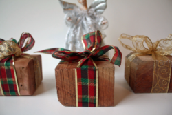 Wrapped Wood Present 4