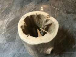 Hollow Stump Coffee Table 5